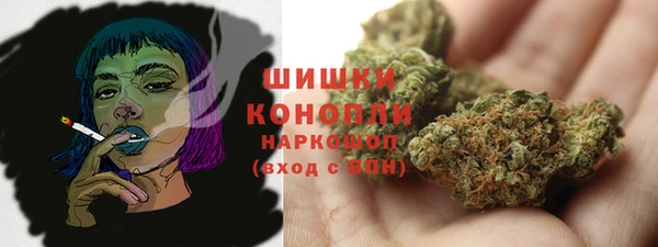 СК Каменка